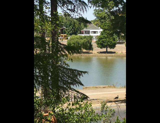 1 BEDROOM PROPERTY TO RENT IN SONSTRAAL